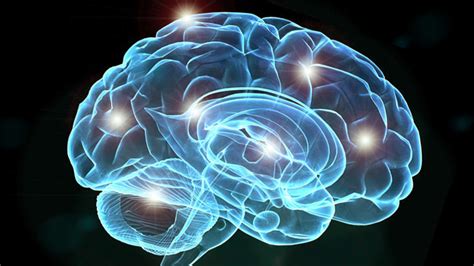 Three Factors Associated with Significant Reduction in Dementia after age 50 at יואל קסלר .קום